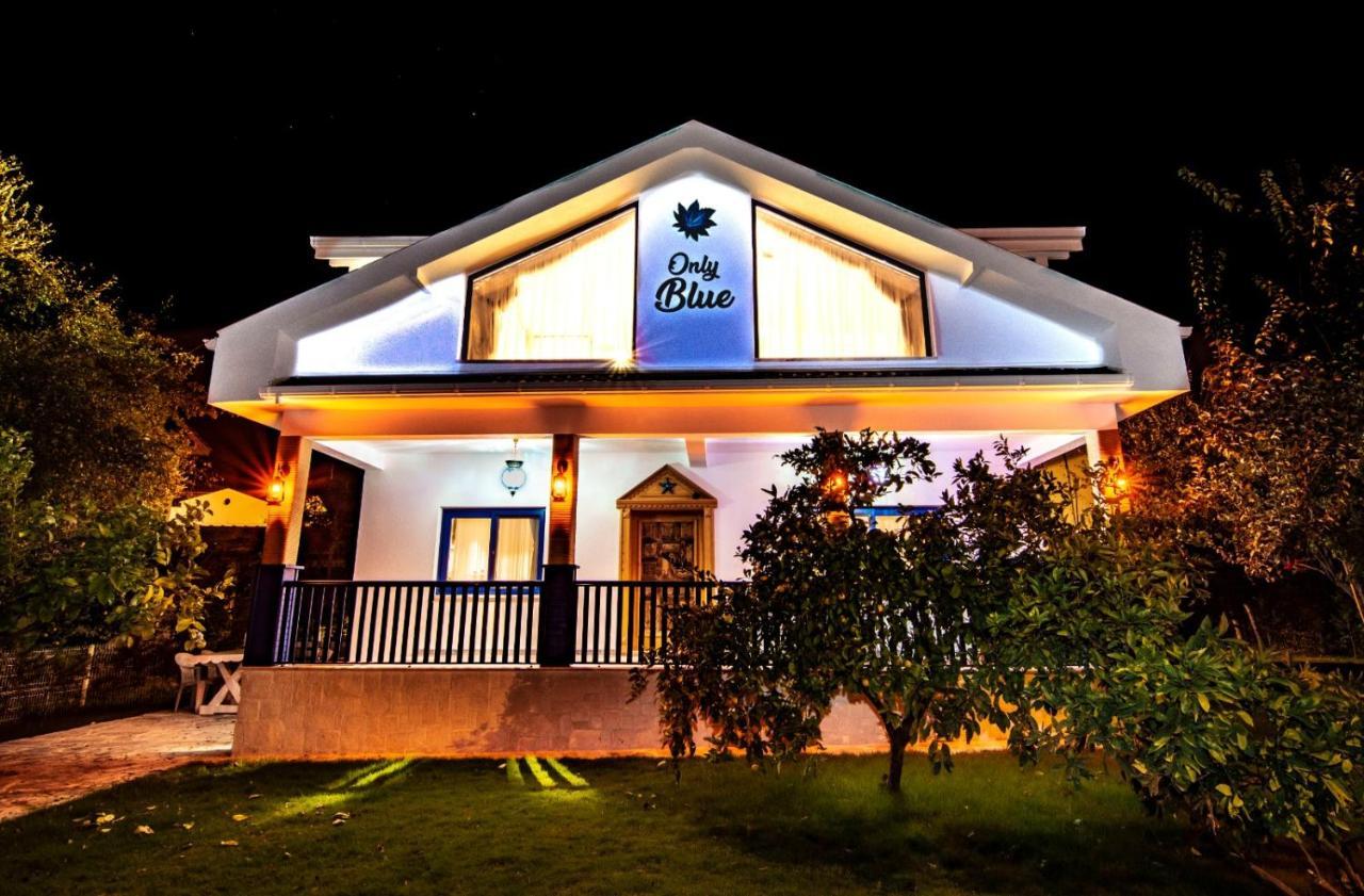 Only Blue Villa Gocek  Exterior photo